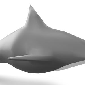 Dolphine